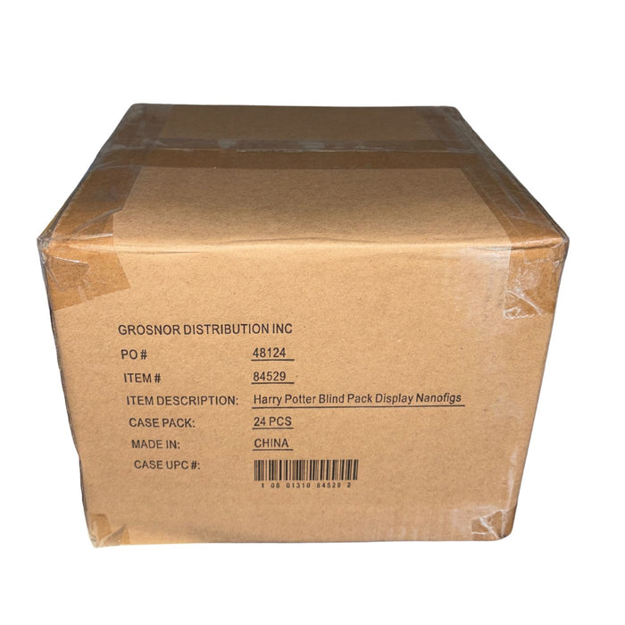 Nano Metalfigs Harry Potter Mystery Figure - Pastime Sports & Games