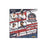 2026 Panini Stars & Stripes Prizm USA Baseball Mega Box
