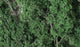 Woodland Scenics Fine-Leaf Foliage Dark Green