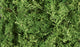 Woodland Scenics Lichen Medium Green