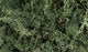 Woodland Scenics Lichen Dark Green