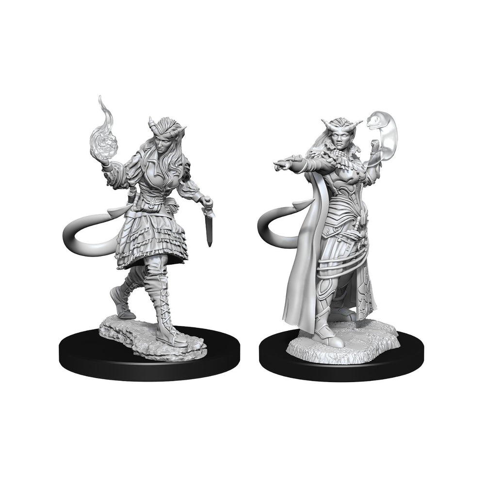 Nolzur's Marvelous Miniatures Tiefling Sorcerer Female - Pastime Sports & Games