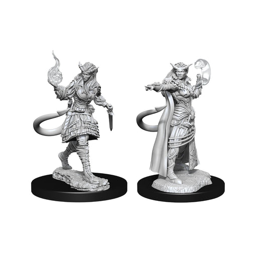 Nolzur's Marvelous Miniatures Tiefling Sorcerer Female - Pastime Sports & Games