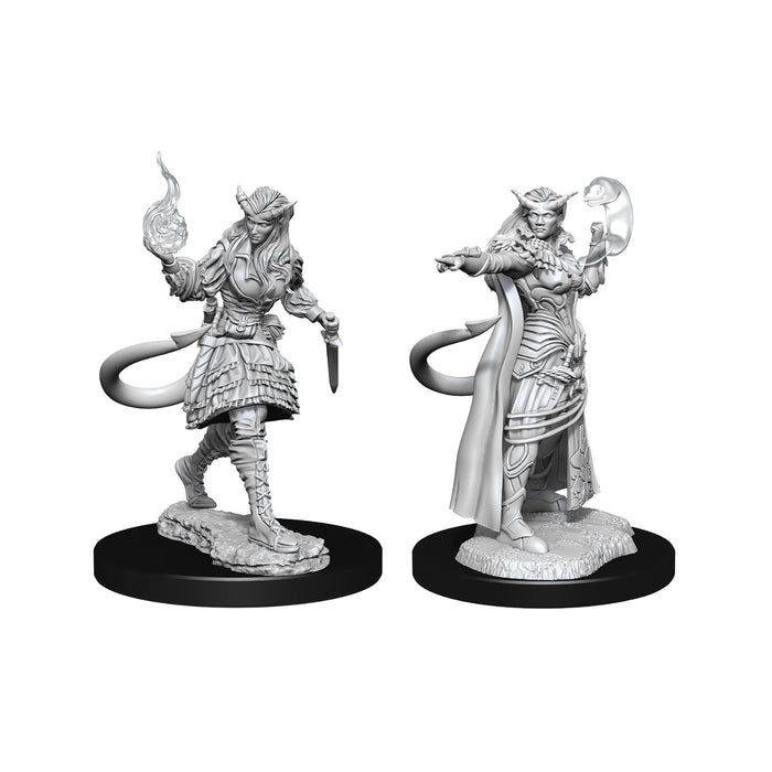 Nolzur's Marvelous Miniatures Tiefling Sorcerer Female - Pastime Sports & Games