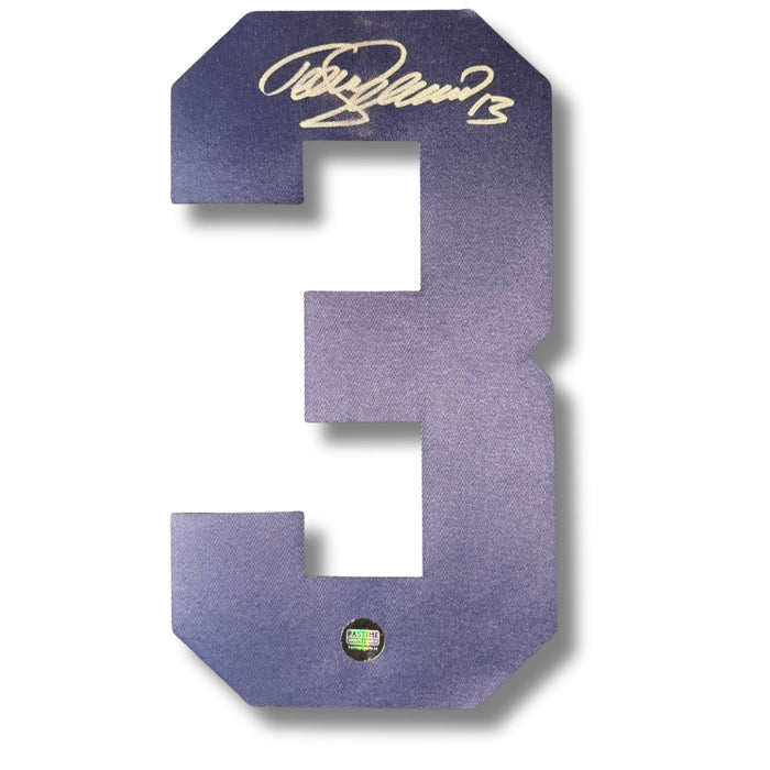 Teemu Selanne Autographed Hockey Jersey Numbers - Pastime Sports & Games