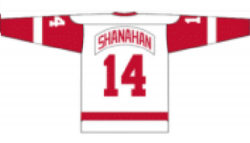 Brendan Shanahan 2001 Detroit Red Wings White Away Jersey - Pastime Sports & Games