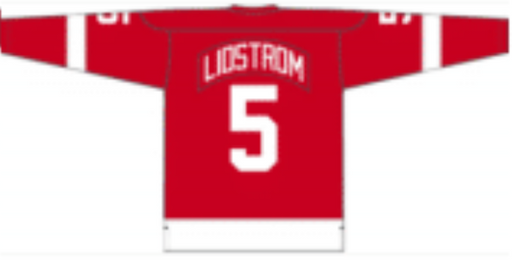 Nicklas Lidstrom 2001 Detroit Red Wings Red Home Jersey - Pastime Sports & Games