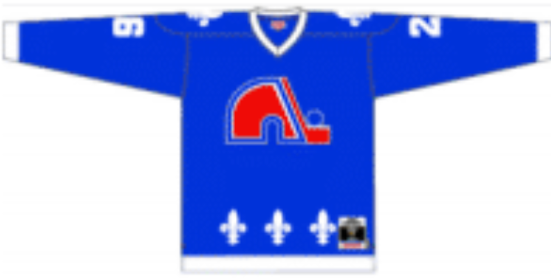 Peter Statsny 1989 Quebec Nordiques Blue Home Jersey - Pastime Sports & Games