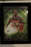 Alex Sarr Washington Wizards Autographed Emanate 8x10 Encased Photo - Signed Side