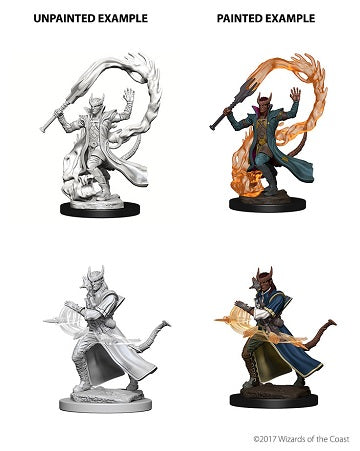 Nolzur's Marvelous Miniatures Tiefling Sorcerer Male (73201) - Pastime Sports & Games