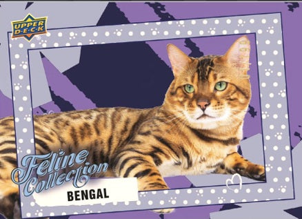 2026 Upper Deck Feline Collection Blaster Box PRE ORDER