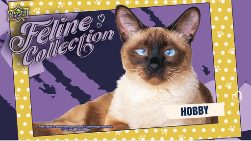 2026 Upper Deck Feline Collection Hobby Box PRE ORDER