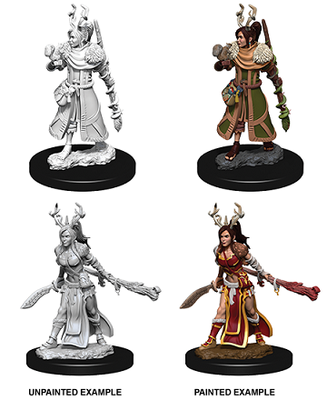 Nolzur's Marvelous Miniatures Human Druid (73701)