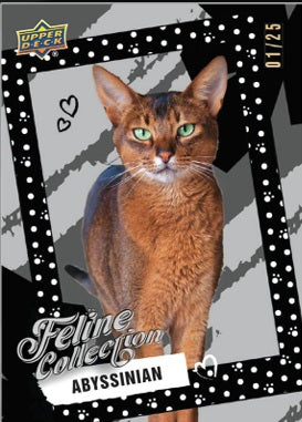 2026 Upper Deck Feline Collection Hobby Box PRE ORDER