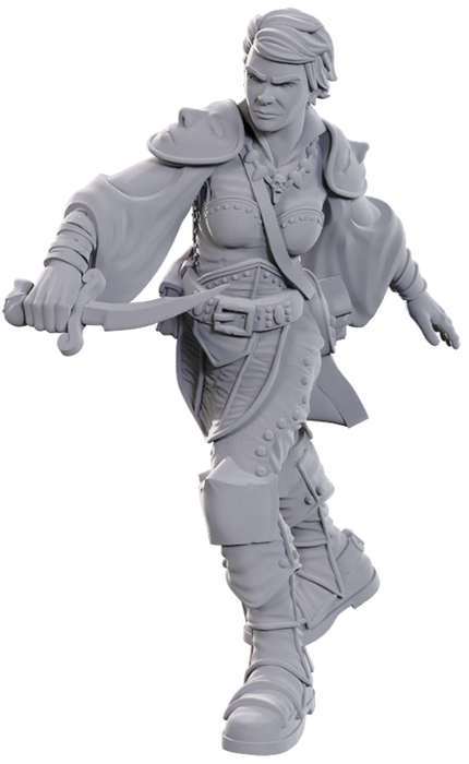Nolzur's Marvelous Miniatures Swashbuckler - Pastime Sports & Games