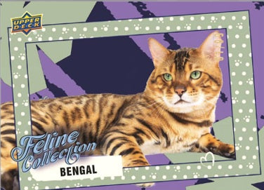2026 Upper Deck Feline Collection Hobby Box PRE ORDER