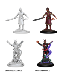 Nolzur's Marvelous Miniatures Tiefling Warlock (73388)