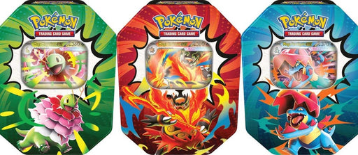 Pokemon Ascended Heroes Tins/Case