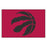 NBA Fanmats - Pastime Sports & Games