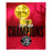 NBA Toronto Raptors Silk Touch Throw - Pastime Sports & Games