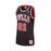1995-96 Chicago Bulls Dennis Rodman Mitchell & Ness Black Basketball Jersey - Pastime Sports & Games