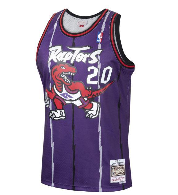 1995-96 Toronto Raptors Damon Stoudamire Mitchell & Ness Purple Basketball Jersey - Pastime Sports & Games