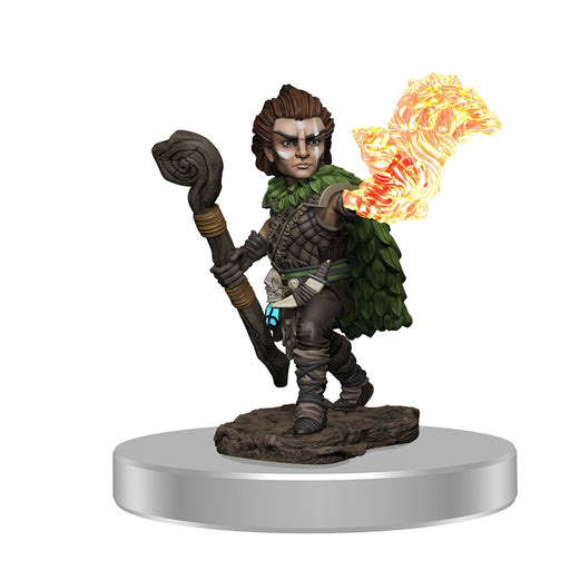 Patherfinder Battles Premium Painted Figure Male Gnome Druid - Pastime Sports & Games
