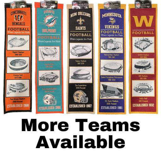 NFL Stadium Evolution Banners - Pastime Sports & Games