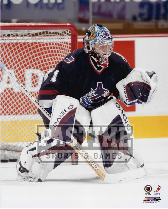 Johan Hedberg 8X10 Vancouver Canucks Home Jersey (Goalie Stance) - Pastime Sports & Games