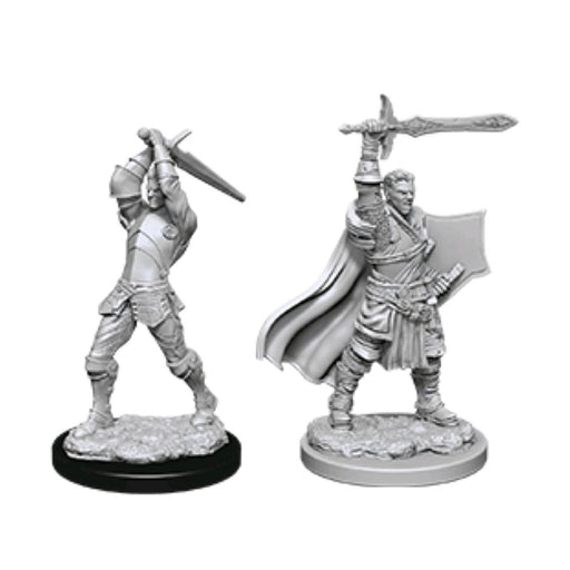 Dungeons & Dragons Nolzur's Marvelous Miniatures Human Paladin - Pastime Sports & Games