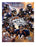 Denver Broncos 8X10 Player Montage (2003) - Pastime Sports & Games