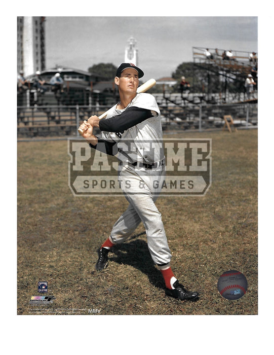 Ted Williams 8X10 Boston Red Sox (Swinging Bat) - Pastime Sports & Games