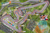 Formula D Circuits 6 Austin & Nevada Ride - Pastime Sports & Games
