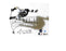 Evgeni Malkin Autographed 8X10 Pittsburgh Penguins Away Jersey (Slap Shot) - Pastime Sports & Games
