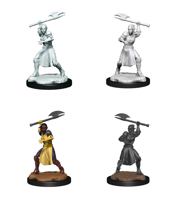 Critical Role Unpainted Minis WV1 Half-Elf Echo Knight/Female - Pastime Sports & Games