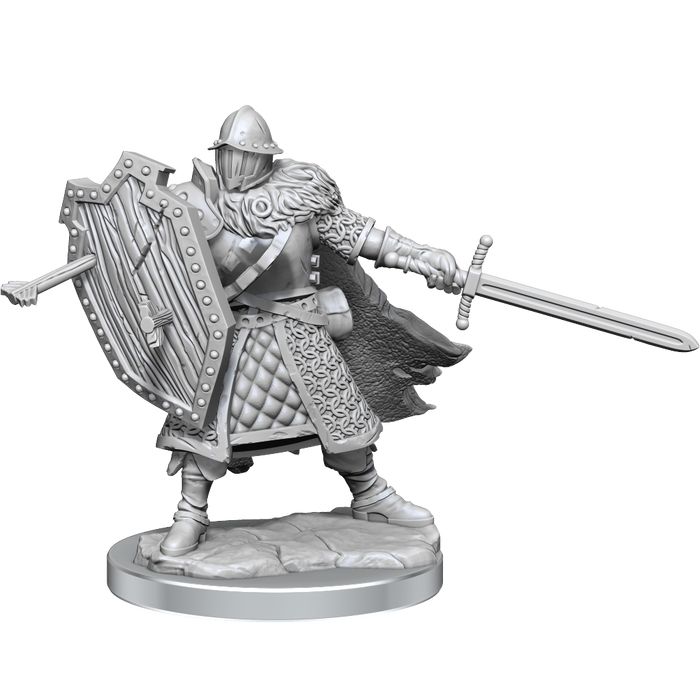 Dungeons & Dragons Frameworks Human Fighter Male - Pastime Sports & Games