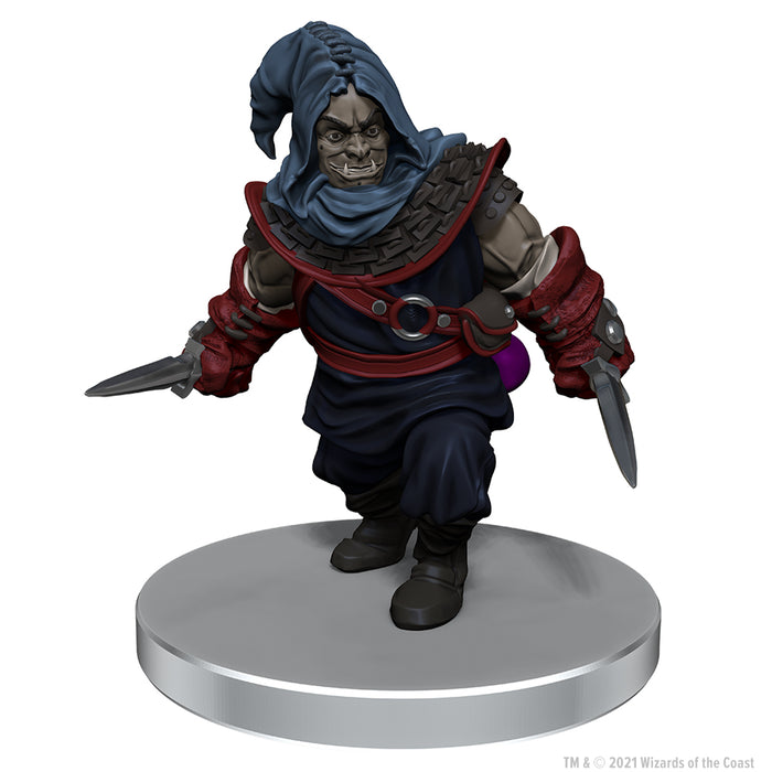 Dungeons & Dragons Icons of the Realms League of Malevolence Starter Set - Pastime Sports & Games