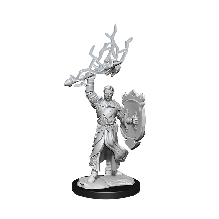 D&D Nolzur's Marvelous Minis Half-Elf Paladin Male - Pastime Sports & Games