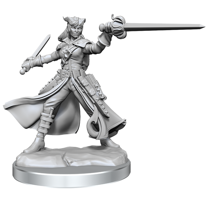 Dungeons & Dragons Frameworks Tiefling Rogue Female - Pastime Sports & Games