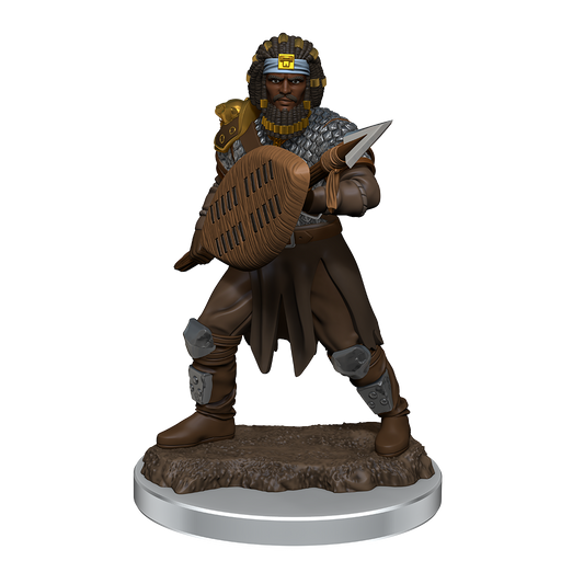 D&D Icons of the Realms Male Human Fighter Premium Painted Figure (93059) - Pastime Sports & Games