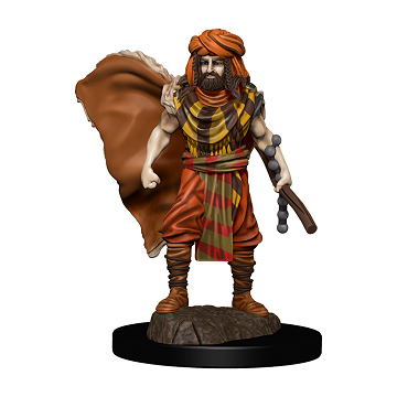 D&D Icons of the Realms Premium Miniatures Male Human Druid - Pastime Sports & Games