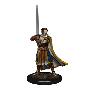 D&D Icons of the Realms Premium Miniatures Male Human Cleric - Pastime Sports & Games