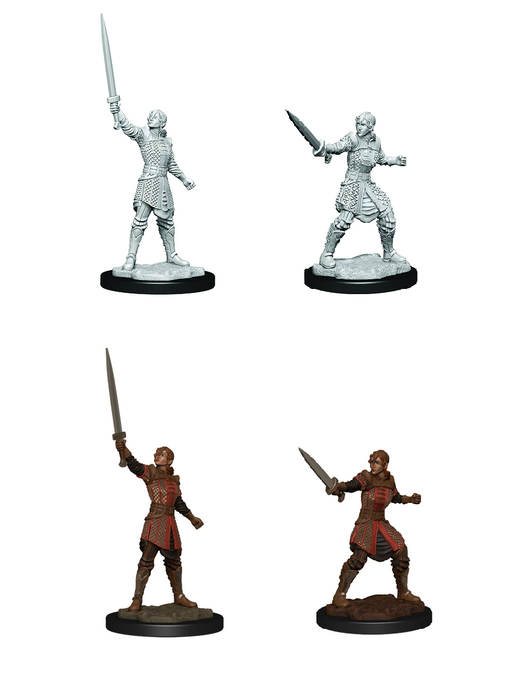 Critical Role Unpainted Minis WV1 Human Empire Fighter Female - Pastime Sports & Games