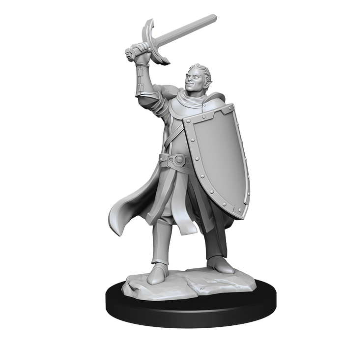 D&D Nolzur's Marvelous Minis Half-Elf Paladin Male - Pastime Sports & Games