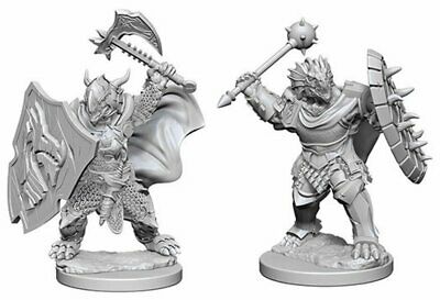 D&D Nolzur's Marvelous Miniatures Dragonborn Male Paladin W4 (73200) - Pastime Sports & Games