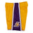 Los Angeles Lakers 2009-10 Mitchell & Ness Yellow Basketball Shorts - Pastime Sports & Games